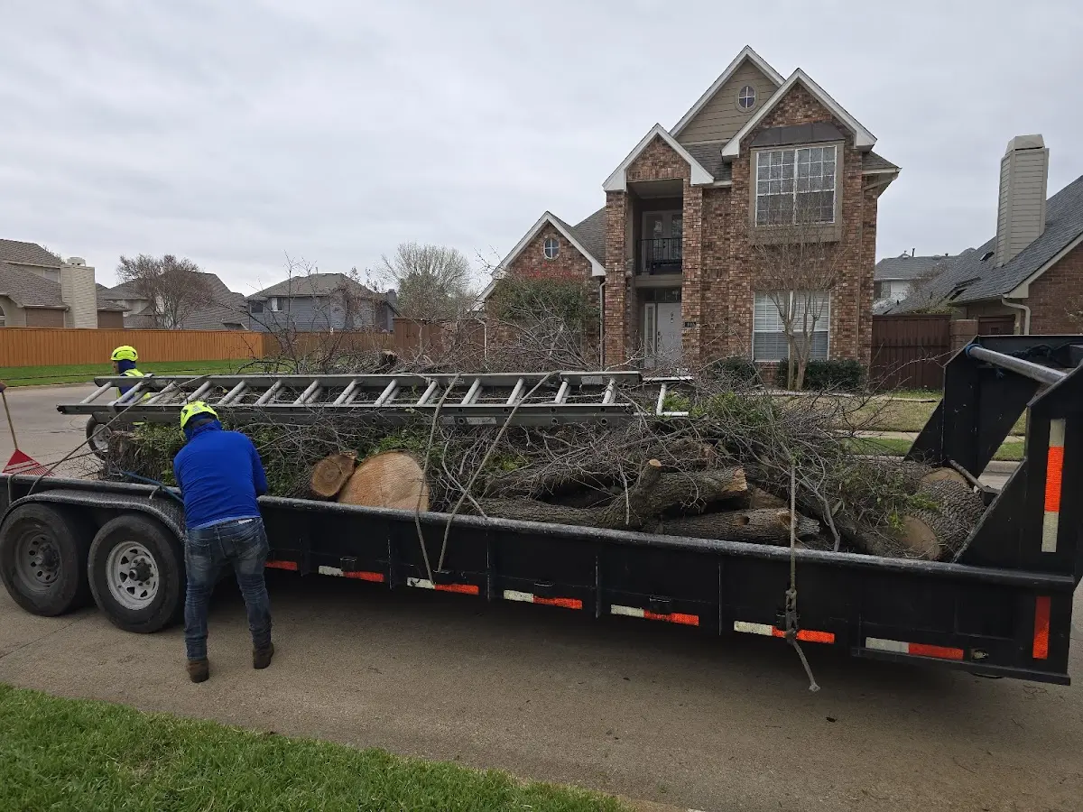 Expert Lot Clearing with proper safety equipment in Greentop